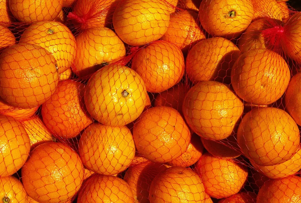 Le Maroc détrône l’Espagne sur le marché britannique des agrumes et signe un nouveau record à l’export