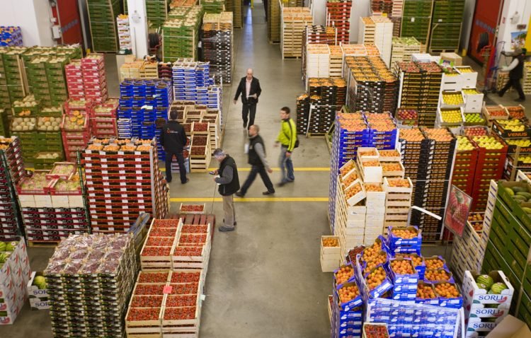 Agroalimentaire : Les exportations grimpent à 86,2 MMDH en 2025