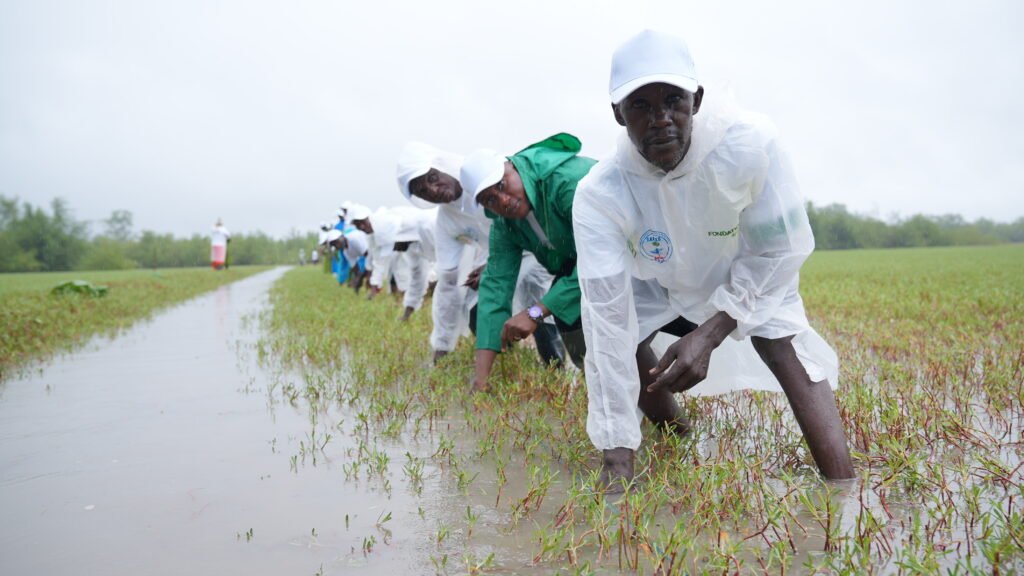 Fondation OCP : près de 100.000 bénéficiaires en 2025