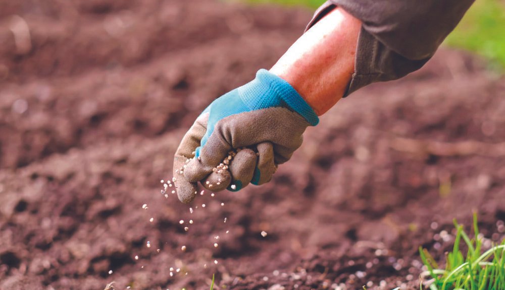 Maroc-Inde: Vers un nouveau plan d'action pour la coopération en recherche agronomique