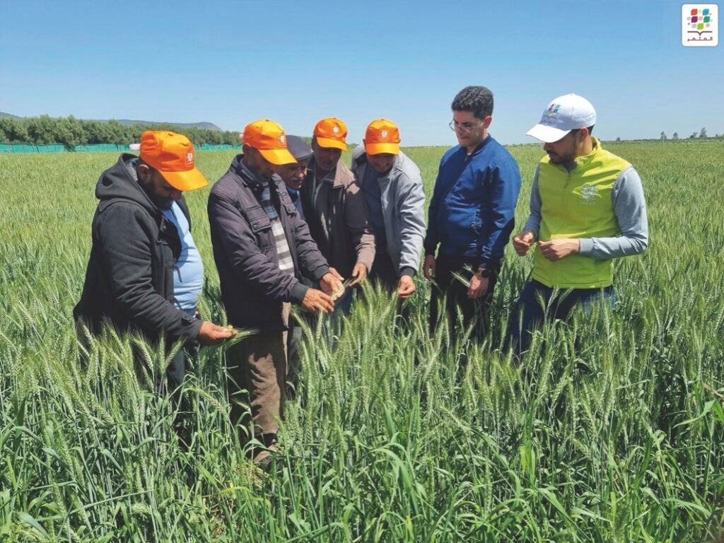 OCP: Al Moutmir à l’avant-garde de l’agriculture durable