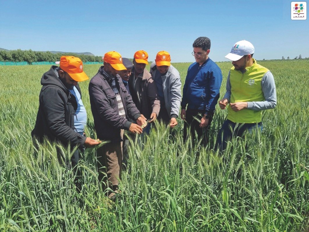 OCP: Al Moutmir à l’avant-garde de l’agriculture durable