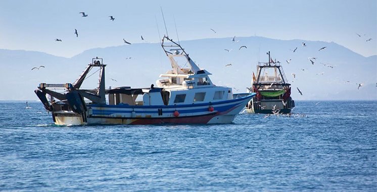 Pêche côtière et artisanale : Près de 5 MMDH de produits commercialisés à fin juin