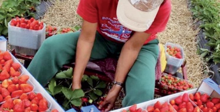 Travailleuses agricoles marocaines en Espagne : De nouvelles mesures pour protéger les saisonnières