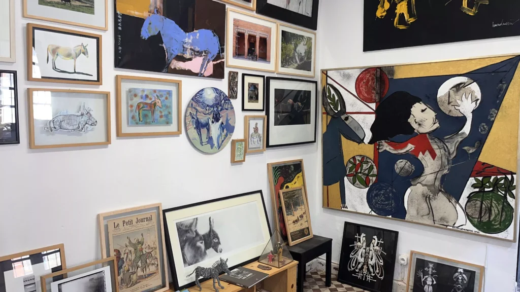 Turning an insult into art: Inside Tangier’s Donkey museum