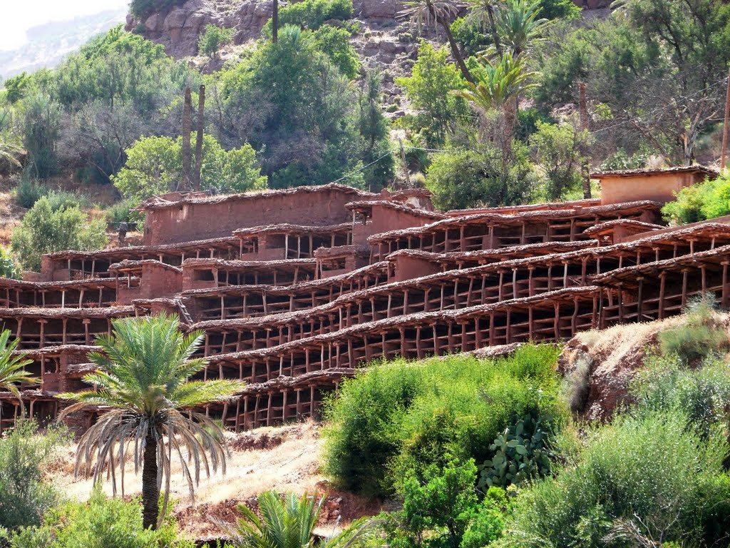 Nomad #89 : Rucher d’Inzerki, le plus grand des plus anciens ruchers collectifs au monde
