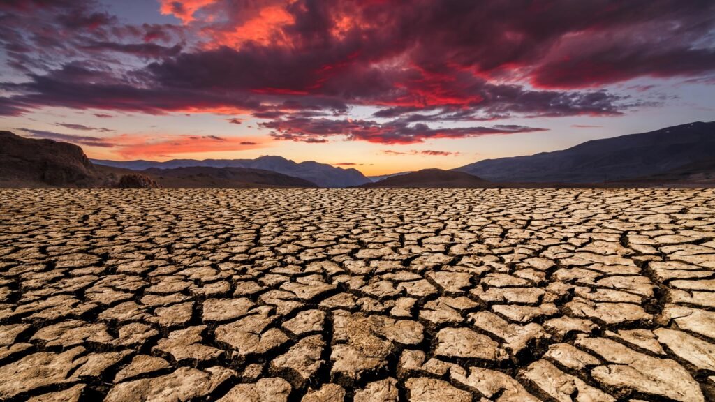 Climat : le phénomène El Niño pourrait atteindre des niveaux records entre octobre et décembre (OMM)
