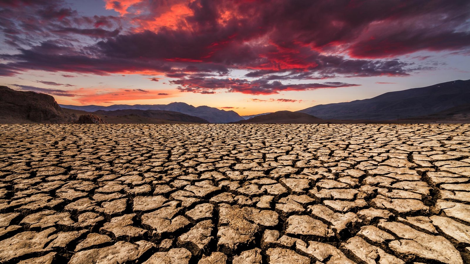 Climat : le phénomène El Niño pourrait atteindre des niveaux records entre octobre et décembre (OMM)