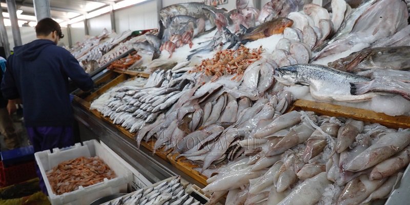 Pêche côtière : Les débarquements en hausse de 19% à fin septembre
